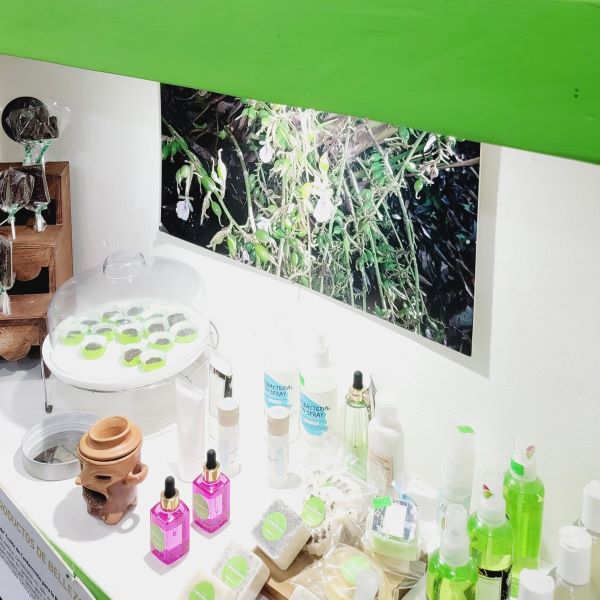 Casa Del Cardamomo Shop