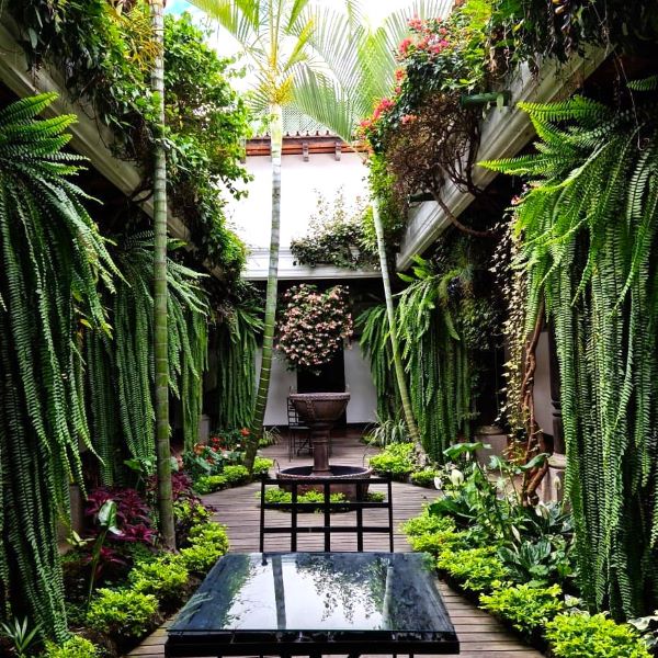 Los Olivos Hotel