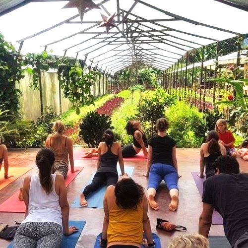 hatha-flow-yoga-class-antigua