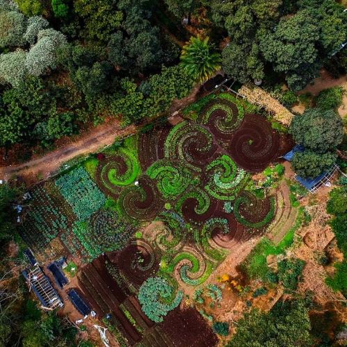 Eco Farms GT San Felipe