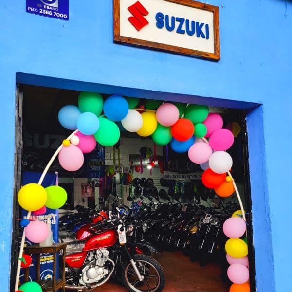 Suzuki Antigua