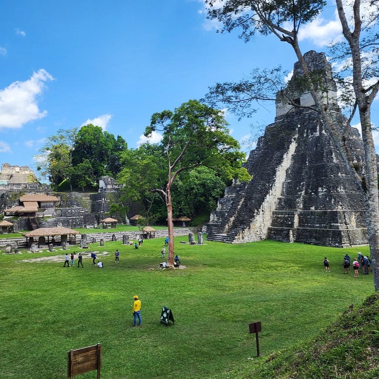 Tikal Tour from Antigua Tikal Go Profile photo