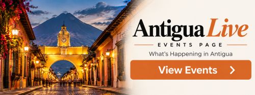 Antigua Live Button Vida Antigua
