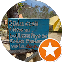 Fredy Saul Cox Chan Avatar