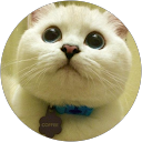 Cute Kitty Avatar