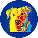 Steve Ulene Avatar