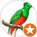 Dany Ardon Avatar
