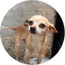 Anibal Escobar Avatar